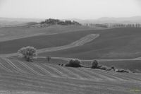 italiedunord2014 (54).jpg